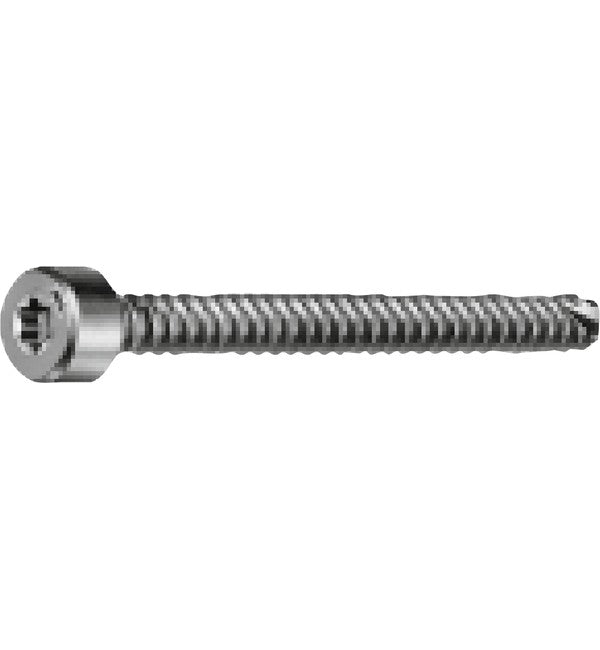 Schuco 205845 – Screw with ISR ST5.5x45, INOX A4 (Pack of 100) – product photo
