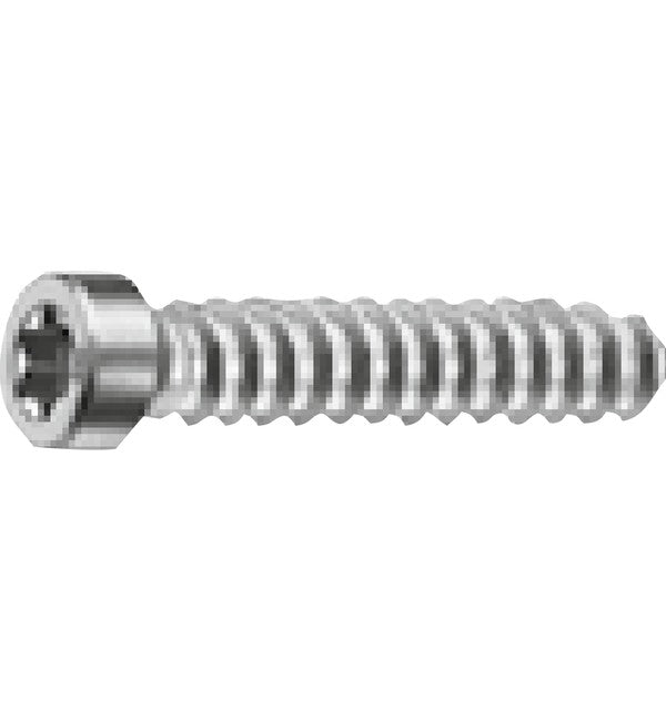 Schuco 205927 Special Self-Tapping Screw ST 5.5x50 - Pack of 100 – product photo