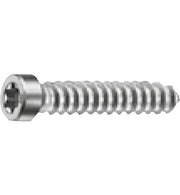 Schuco 225029 Special Self-Tapping Screw ST 5.5x40 - Pack of 100 – product photo
