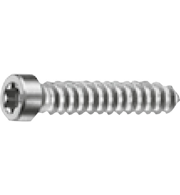 Schuco 225029 Special Self-Tapping Screw ST 5.5x40 - Pack of 100 – product photo